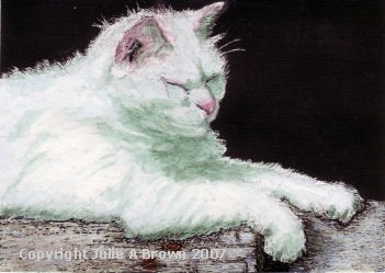 Mittens - cat portrait by Julie A. Brown