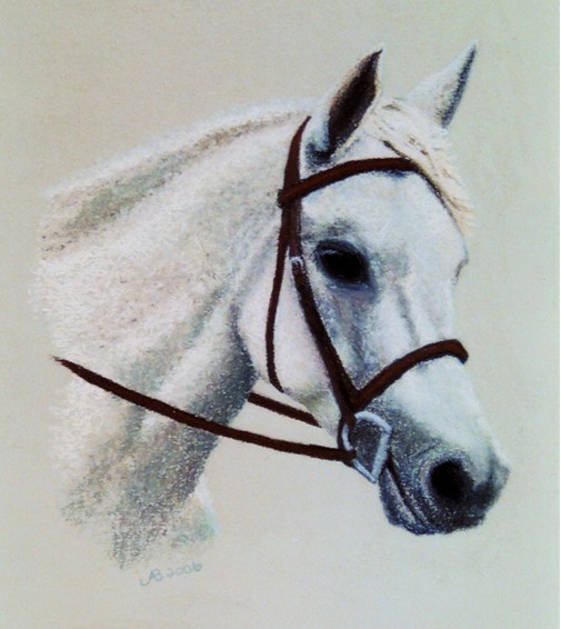 Misty Kayla, pastel horse portrait by Julie A. Brown