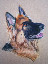 Pastel Shepherd Dog Portrait by Julie A. Brown - Blue