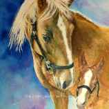 Animal Portraits by Julie A. Brown