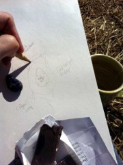Julie sketching with tea and chocolate!