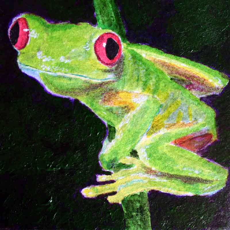 Tree Frog 2 - acrylic on paper on gallery wrapped canvas by Julie A. Brown